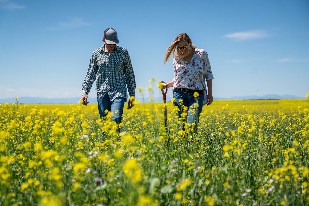 CORSO ONLINE PAC 150 ORE